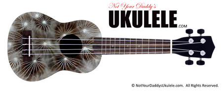 Buy Ukulele Depth Wish 