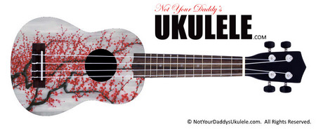 Buy Ukulele Ancient Cherry 