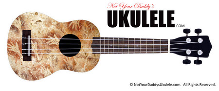 Buy Ukulele Ancient Hands 