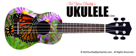 Buy Ukulele Animals Butterfly 