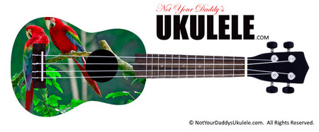 Buy Ukulele Animals Colors 