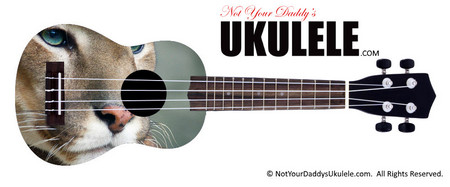 Buy Ukulele Animals Cougar 