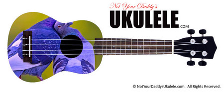 Buy Ukulele Animals Date 