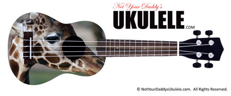 Buy Ukulele Animals Fragile 