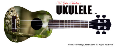 Buy Ukulele Animals Owl 