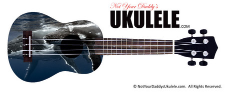Buy Ukulele Animals Whale 
