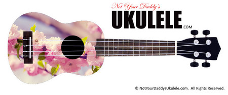 Buy Ukulele Designer Branch 