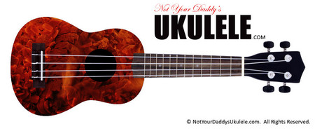 Buy Ukulele Fire Cloud 
