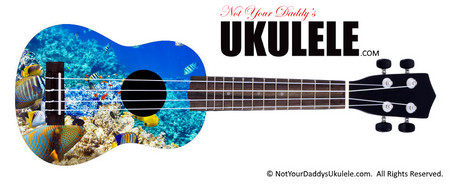 Buy Ukulele Fish Group 