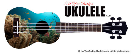 Buy Ukulele Fish Nature 