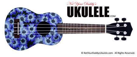 Buy Ukulele Flowers Aster 