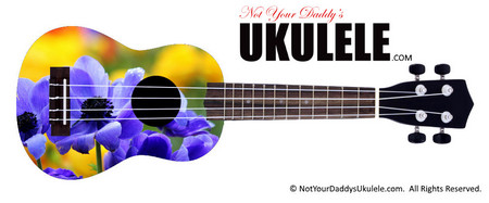 Buy Ukulele Flowers Scene 