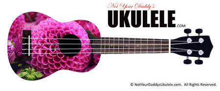 Buy Ukulele Flowers Sphere 