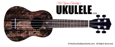 Buy Ukulele Grunge Wood 