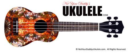 Buy Ukulele Kaleidoscope Stack 