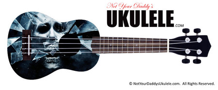 Buy Ukulele Popular Destination 