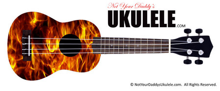 Buy Ukulele Popular Firewall 