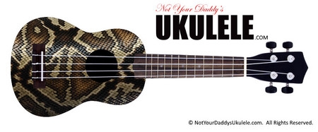 Buy Ukulele Popular Live 