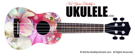 Buy Ukulele Pretty Beautiful 