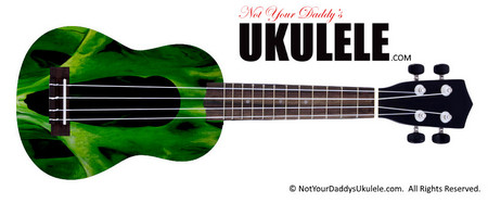 Buy Ukulele Skull Green 